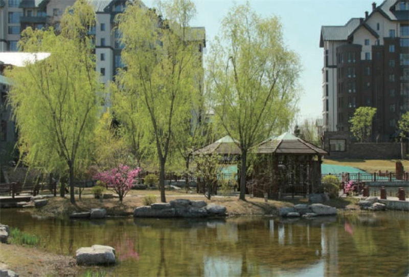 天地凤凰城